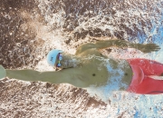 开云体育在线-瑞士军刀出鞘，卡瓦哈尔关键一击助瑞士强势晋级卡塔尔