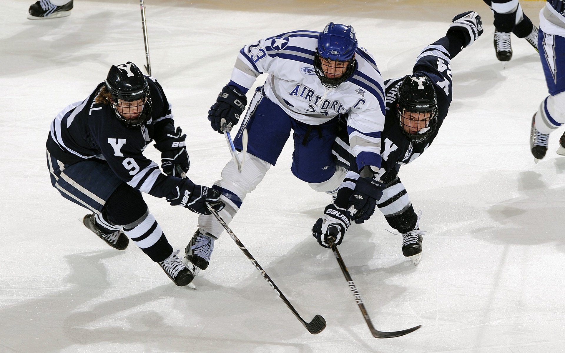 深圳式防守绞杀卫冕冠军，小贾伦·杰克逊的关键先生进化论