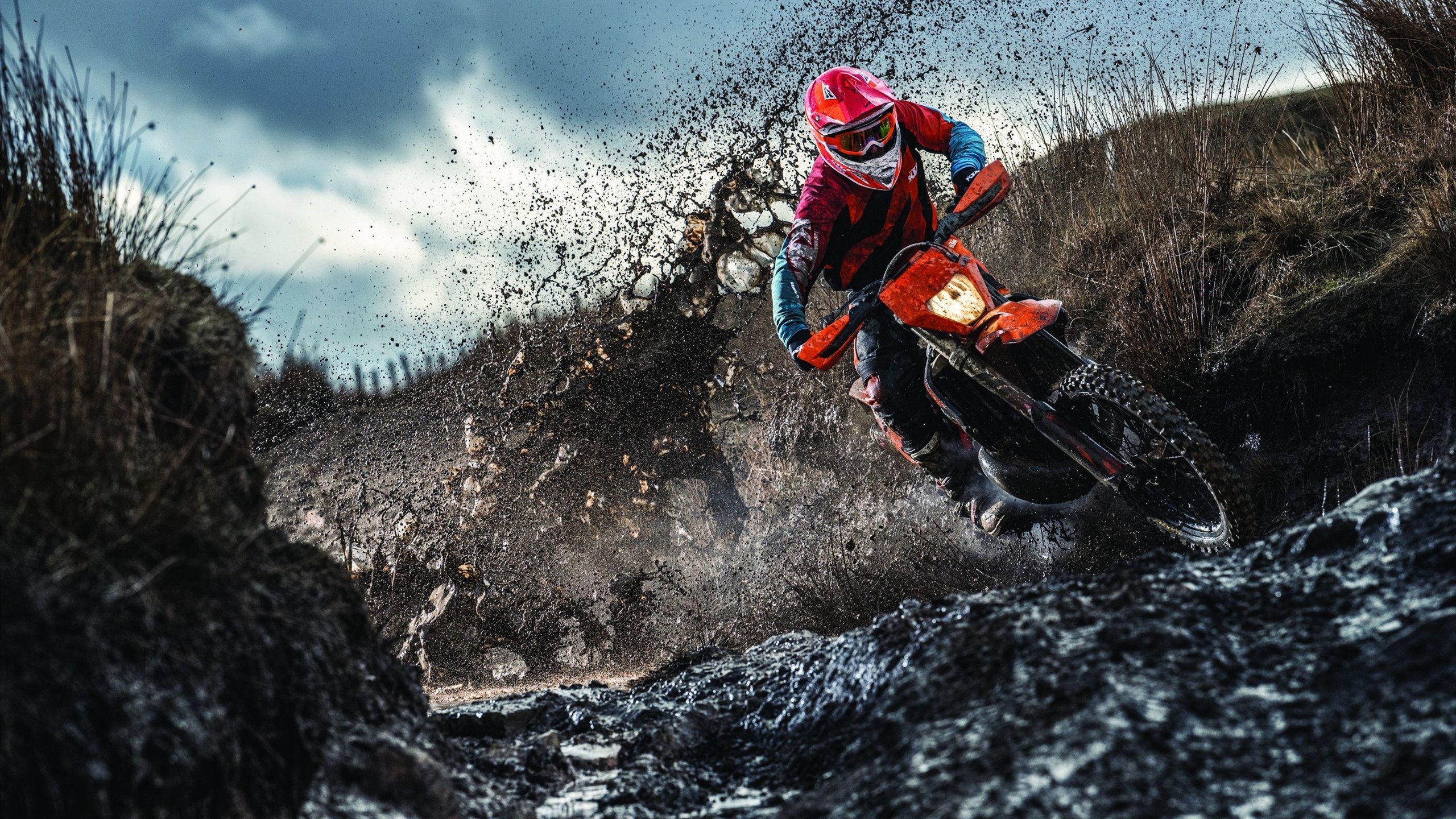 赛道上的光影魔术师,米切尔率队征服F1街道赛之夜