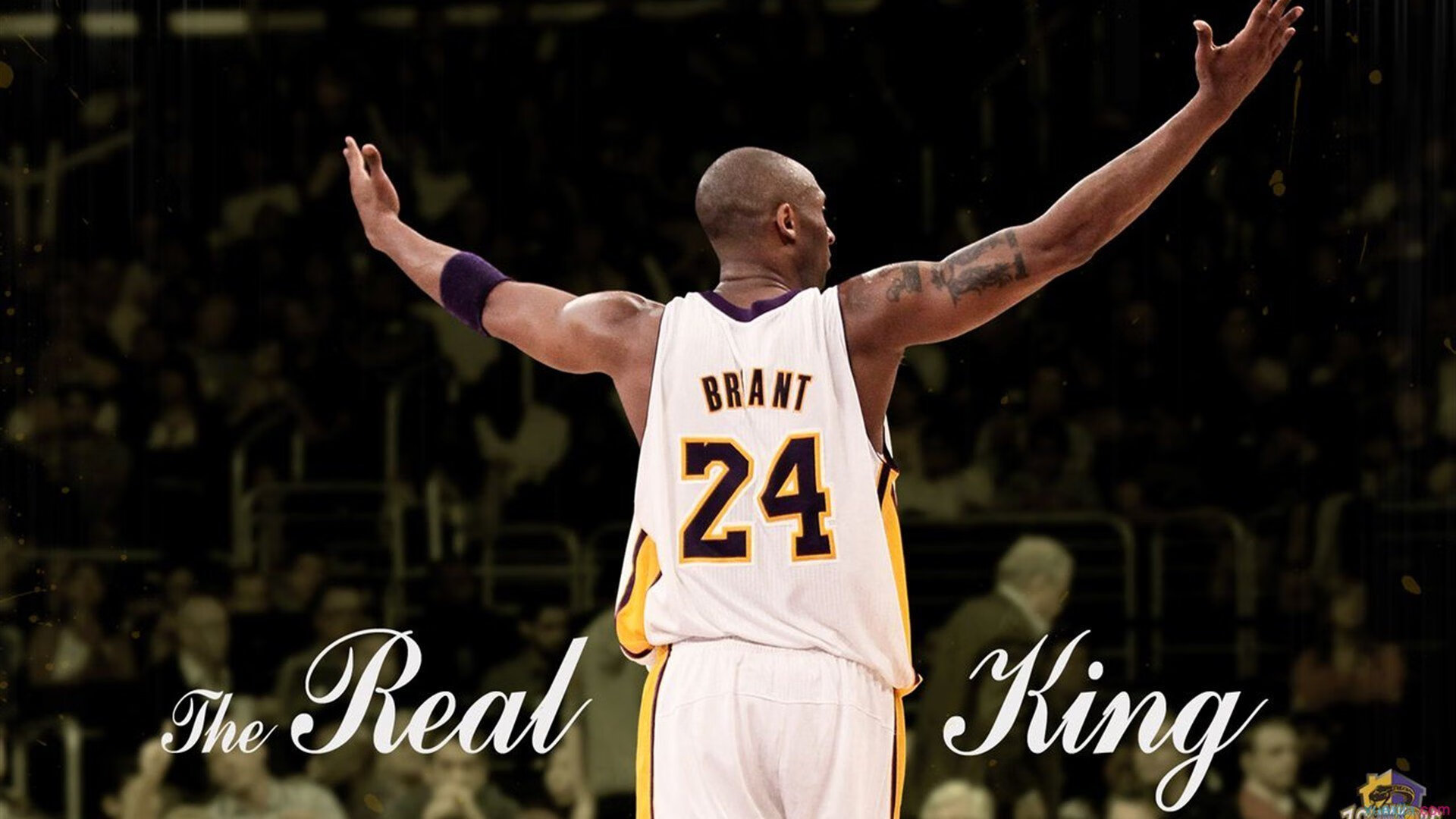 上海队横扫吉林队，锡安状态火热，新王崛起，联盟格局生变